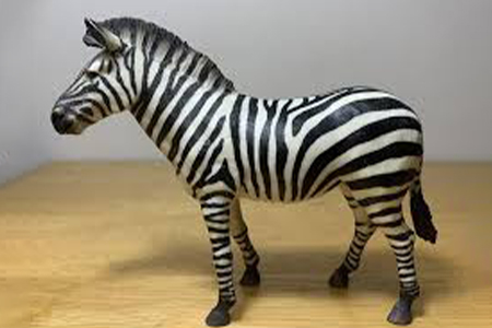 zebra